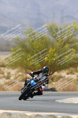 media/Apr-10-2022-SoCal Trackdays (Sun) [[f104b12566]]/Turn 5 Tree of Life (1040am)/